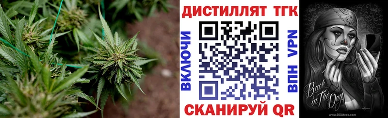 как найти закладки Бирюсинск ТГК вейп с тгк